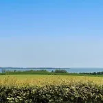 Sj257-hejls-brombaervaenget-17 *